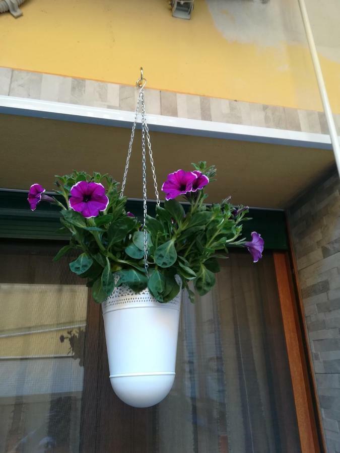 I Nuraghi II Apartment Cagliari Luaran gambar